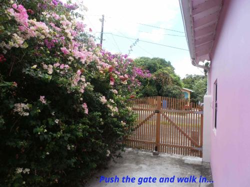 a fence with pink flowers next to a gate at The Pink House in Choiseul