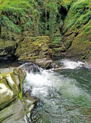 Landskap semula jadi dekat dengan lodge