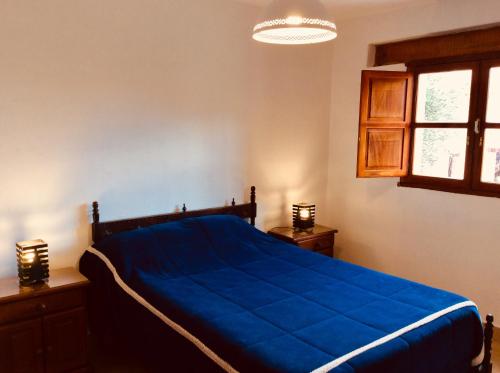 a bedroom with a blue bed and a window at Casa en Tilcara con hermosa vista al Pucara in Tilcara