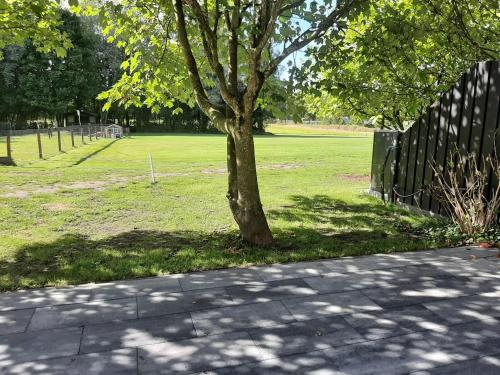 a tree in a field next to a fence at Grutsk op 12 in Drachten