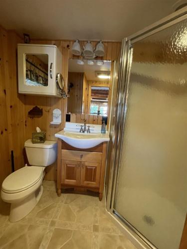 a bathroom with a toilet and a sink and a shower at MOOSEY ON INN LIMIT 8 cottage in Hillside