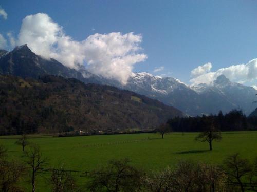 a large green field with mountains in the background at Apartment Bachmann in Bludenz