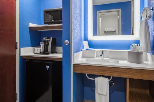 a bathroom with a sink and a mirror at Holiday Inn Express Atlanta Airport-College Park, an IHG Hotel in Atlanta