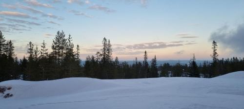 a group of trees and snow with a sunset in the background at Fjällstugan in Sälen