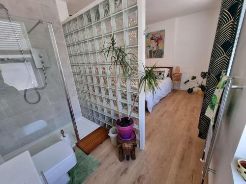 uma pequena casa de banho com um chuveiro e uma planta em Cheerful 3 bedroom home with garden! em Torquay