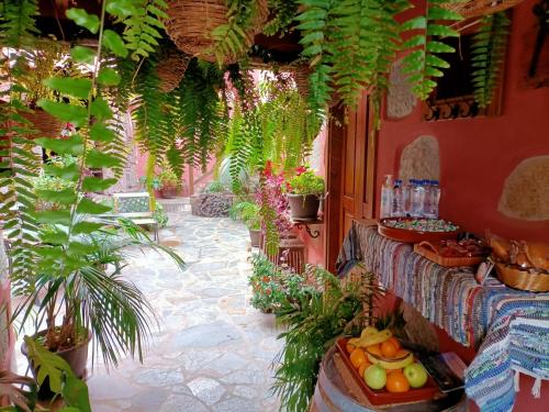 a patio with a table with fruits and plants at Rural Suite Santiago de Tunte in San Bartolomé