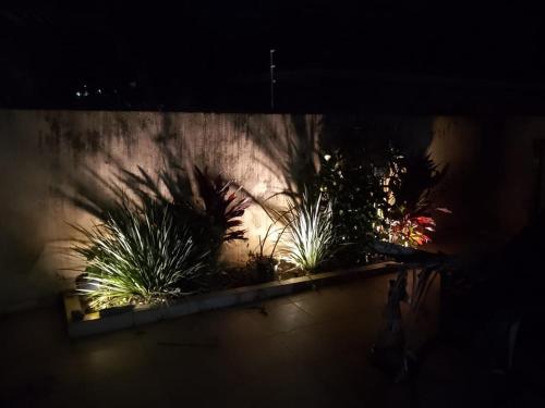 Hospedagem Maria Joana في أتيبايا: صف من النباتات الفخارية على الحائط في الليل