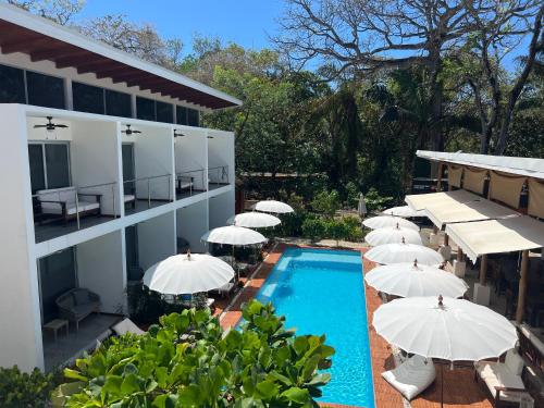 a hotel with a swimming pool with umbrellas at Ride On! Surf Hotel in Nosara