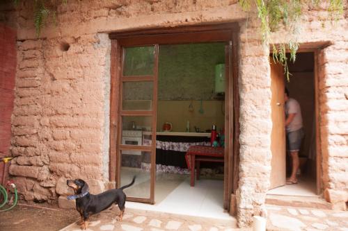un perro parado frente a una puerta con un hombre en Departamento Inti Raymi en Tilcara
