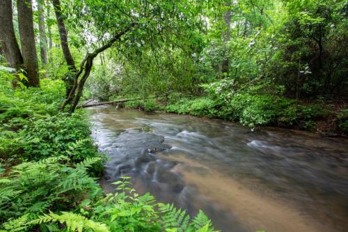 Wine Down By The Creek – Photos 2