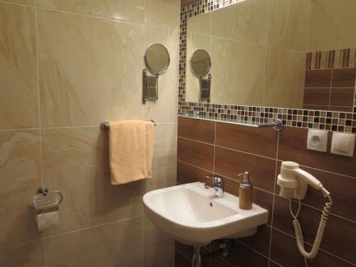 a bathroom with a sink and a mirror at Penzion Fryštátská Chalupa in Karviná