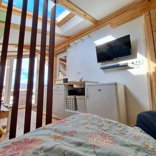 a room with a bed and a tv on the wall at Mini Loft close to Logar Valley in Rečica ob Savinji