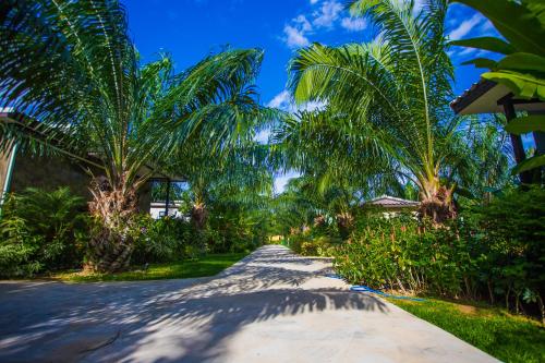 a road with palm trees on the side of a house at Palm Pran Resort in Pran Buri