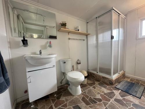 y baño con aseo, lavabo y ducha. en Patagonia Sweet Home en Puerto Natales