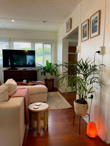 a living room with a couch and a tv at Waterfront Cottages in Greenwell Point