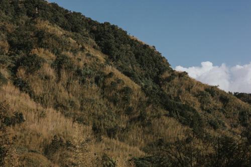 ホームステイの近くで見られる自然の景観