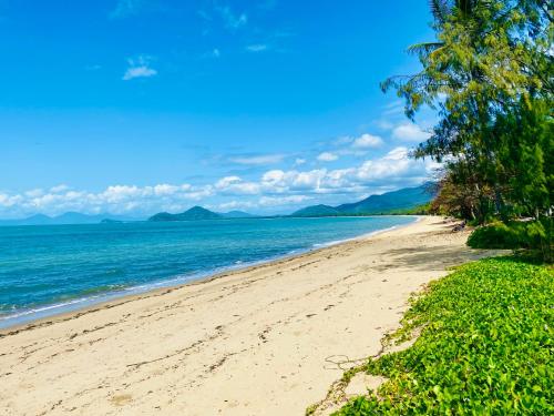 a beach with trees and the ocean on a sunny day at BeachView Apartments at Villa Paradiso in Palm Cove