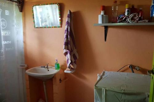 ein Badezimmer mit einem Waschbecken und einem Waschbecken in der Unterkunft La Casa de Colores in Garuhapé