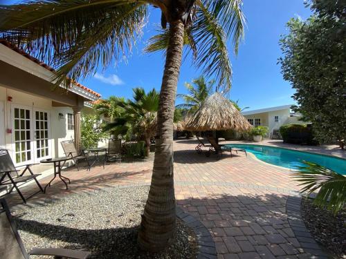 a palm tree sitting next to a swimming pool at Aruba Tropic Apartments in Noord