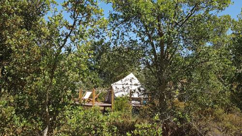 Zahrada ubytování Sublim' Ecolodge