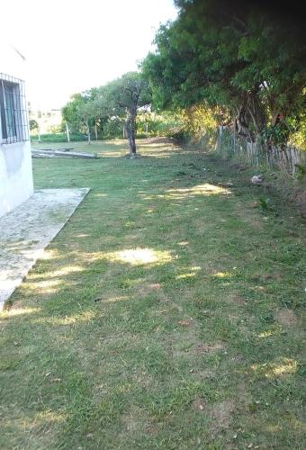a field of grass with a tree and a fence at Cafofo SE RESERVA CON SEÑA in Barra del Chuy