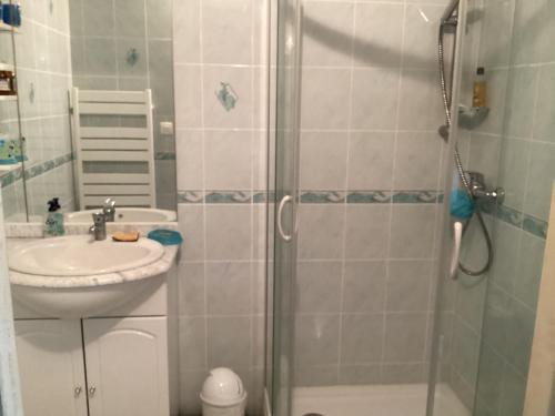une salle de bain avec douche et lavabo dans l'établissement Maison 4 pers proche chatelaillon plage, à Ballon