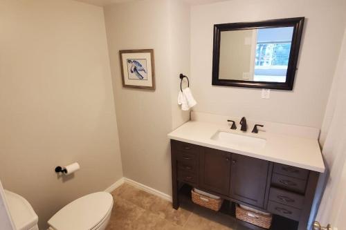 a bathroom with a sink and a toilet and a mirror at Luxury DT Cottage - Free Parking - Self Check-In in Anchorage