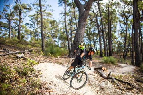 a person riding a bike on a trail with a dog at St Helens Mountain Bike Base in St Helens