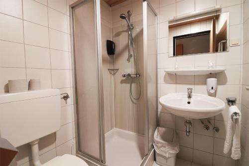 a bathroom with a shower and a sink and a toilet at Schlafgut in Sankt Pölten