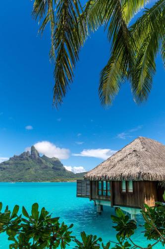 a resort on the water with a palm tree at The St. Regis Bora Bora Resort in Bora Bora