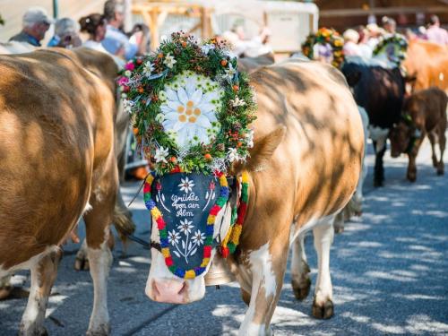 a group of cows walking down a street at Apartment in Wald near Ski Slopes in Wald im Pinzgau