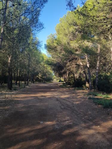 Paisaje cerca de este apartamento