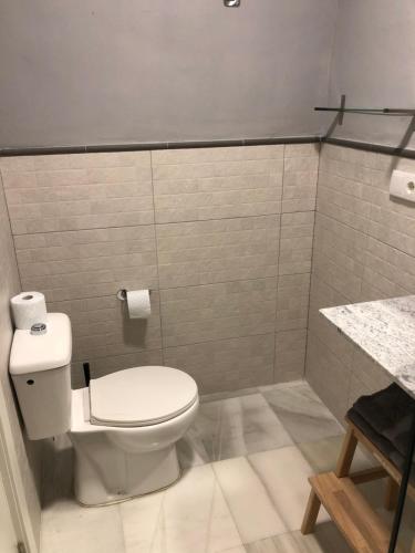 a bathroom with a white toilet and a sink at Apartamentos Makao Puerta del Olivillo in Jerez de la Frontera