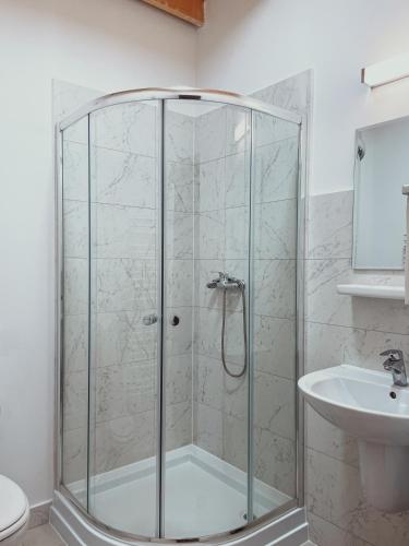 a shower with a glass door next to a sink at Pensiunea Ocna Maramuresului in Ocna Şugatag