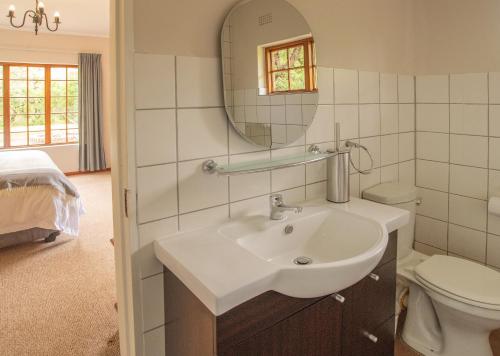 a bathroom with a sink and a mirror and a toilet at Highland Run Fly Fishing Estate by Dream Resorts in Lydenburg