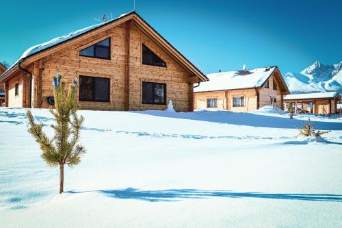 a house in the snow with a tree in front of it at Vila Elis in Veľká Lomnica
