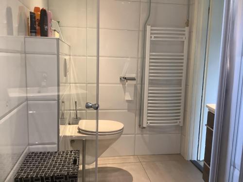 een witte badkamer met een toilet en een douche bij 2 persoons appartement de luxe in Nijverdal