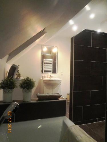 a bathroom with a bath tub and a sink at B&B Landleven in Hellevoetsluis