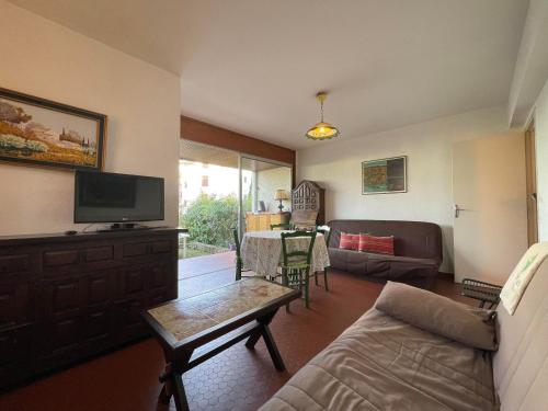 un salon avec un canapé et une télévision dans l'établissement 4VSE-ALZ10 Résidence Val Saint-Elme, à Collioure