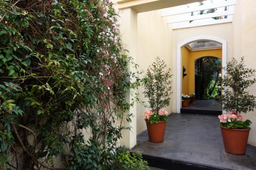 a hallway with potted plants and a yellow door at Lo de Costa B&B in Vicente López