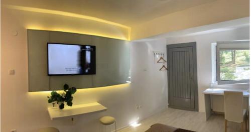 sala de estar con TV de pantalla plana en la pared en studio in vila- natural 22 C !, en Breaza de Sus