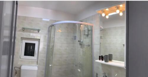 y baño con ducha de cristal y aseo. en studio in vila- natural 22 C !, en Breaza de Sus