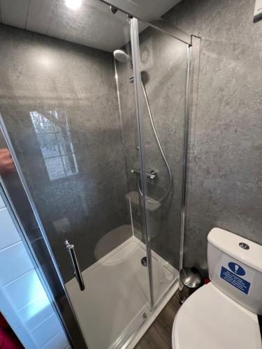 a shower with a glass door next to a toilet at Luxury Woodland Lodge in Newport Pagnell