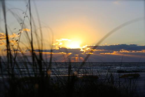 a sunset on the beach with the sun setting at Shoreline Island Resort - Exclusively Adult in St Pete Beach