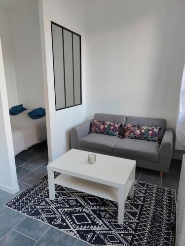 Charmant appartement hyper centre métro gare