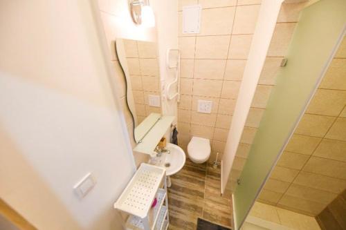 ein kleines Bad mit WC und Waschbecken in der Unterkunft 1 bedroom flat in Nyar str., Central in Budapest
