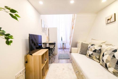 ein Wohnzimmer mit einem Sofa und einem TV in der Unterkunft 1 bedroom flat in Nyar str., Central in Budapest