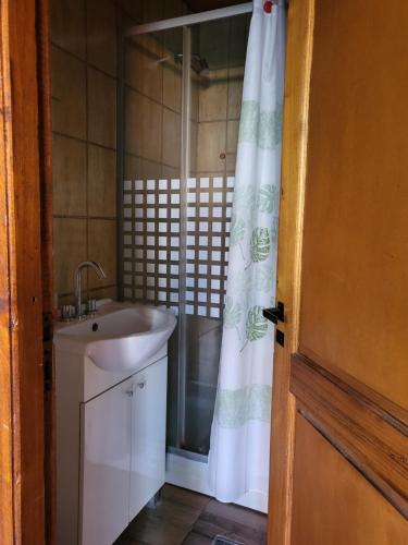 ein Bad mit einem Waschbecken und einem Duschvorhang in der Unterkunft Cabaña Los Acacios II Lobos in Lobos