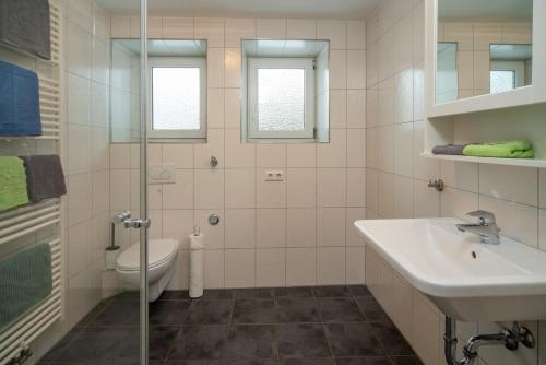 uma casa de banho com um WC, um lavatório e um chuveiro em Apartment - Wohnung Memmingen Nr. 1 em Memmingen