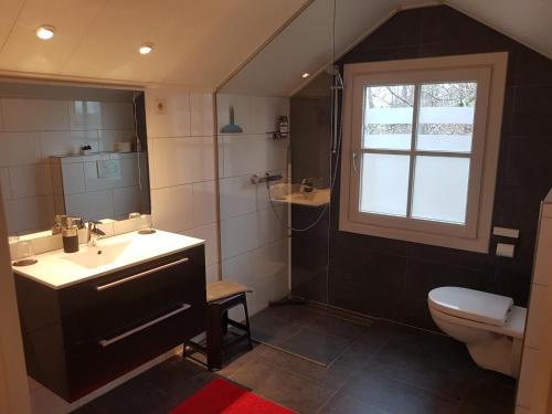 baño con lavabo y aseo y ventana en Thil's Bed and Breakfast, en Ambt Delden